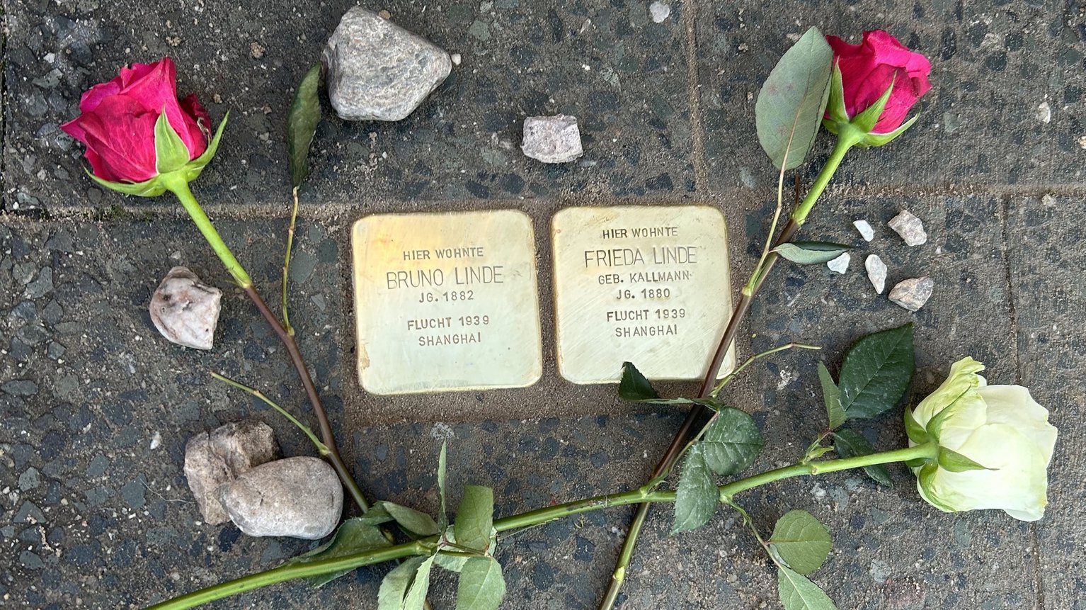 Foto der Stolpersteine für Bruno Linde und Frieda Linde, geborene Kallmann