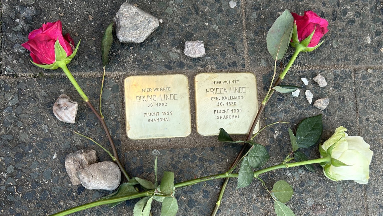 Foto der Stolpersteine für Bruno Linde und Frieda Linde, geborene Kallmann
