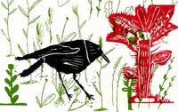 Zeichnung eines Vogels