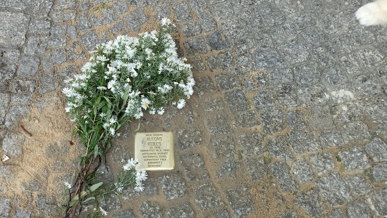 Foto einer Stolpersteinverlegung