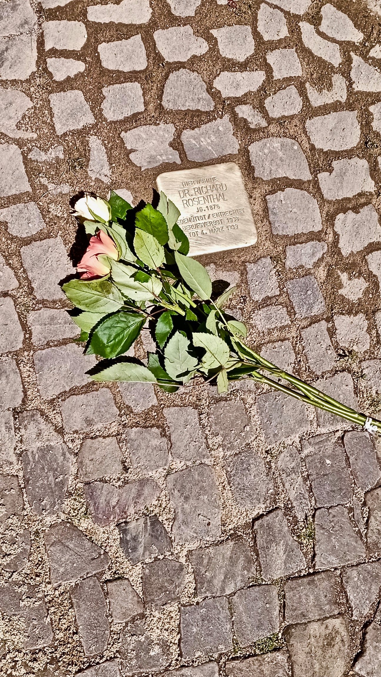 Foto eines Stolpersteins