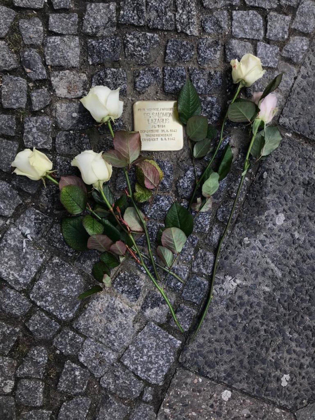 Jakobstraße Stolpersteinverlegung 16.2.23 Rhea Bolz