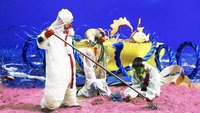 Fotomontage der Fichtelgebirge-Grundschule 